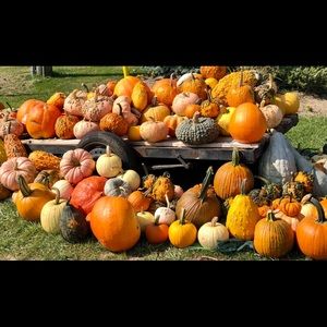 Meet your Posher, Deborah